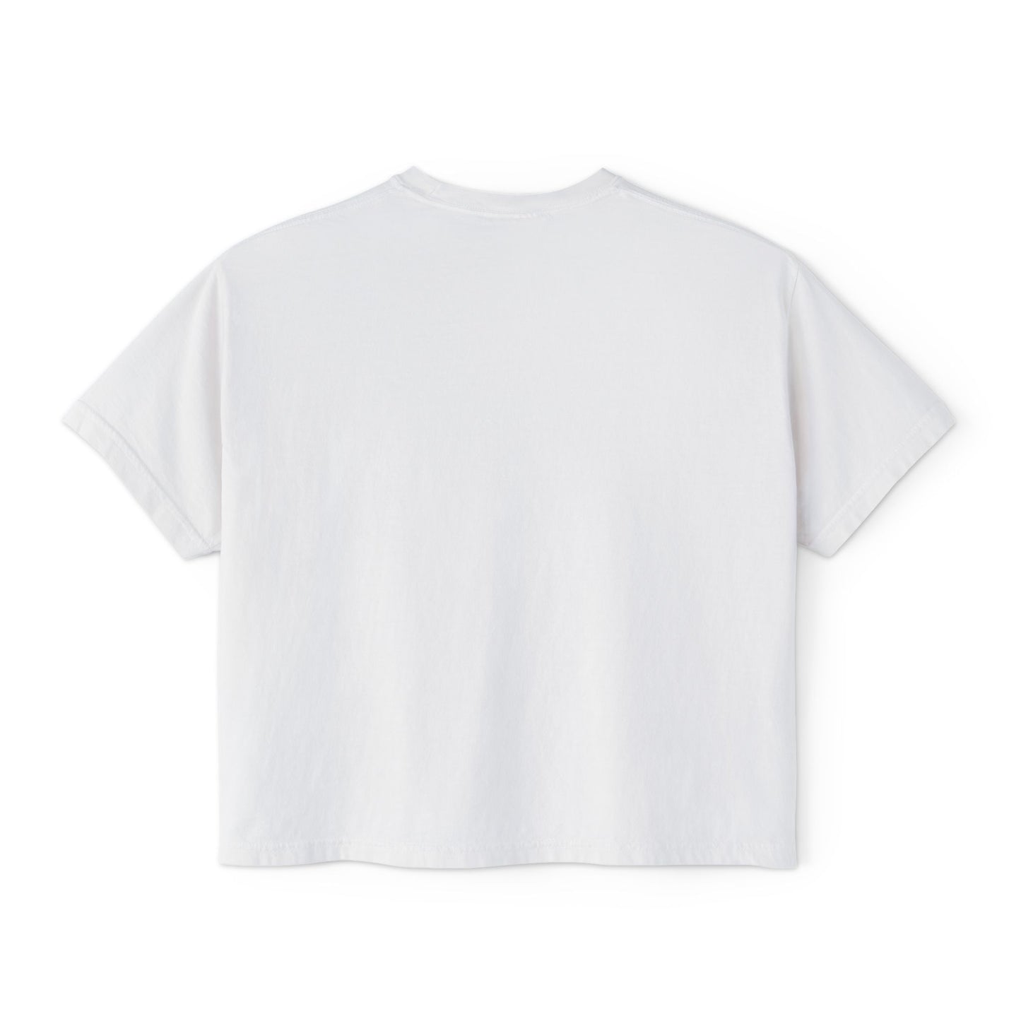 "That's a Horrible Idea... What Time?" T-Shirt (Women's)