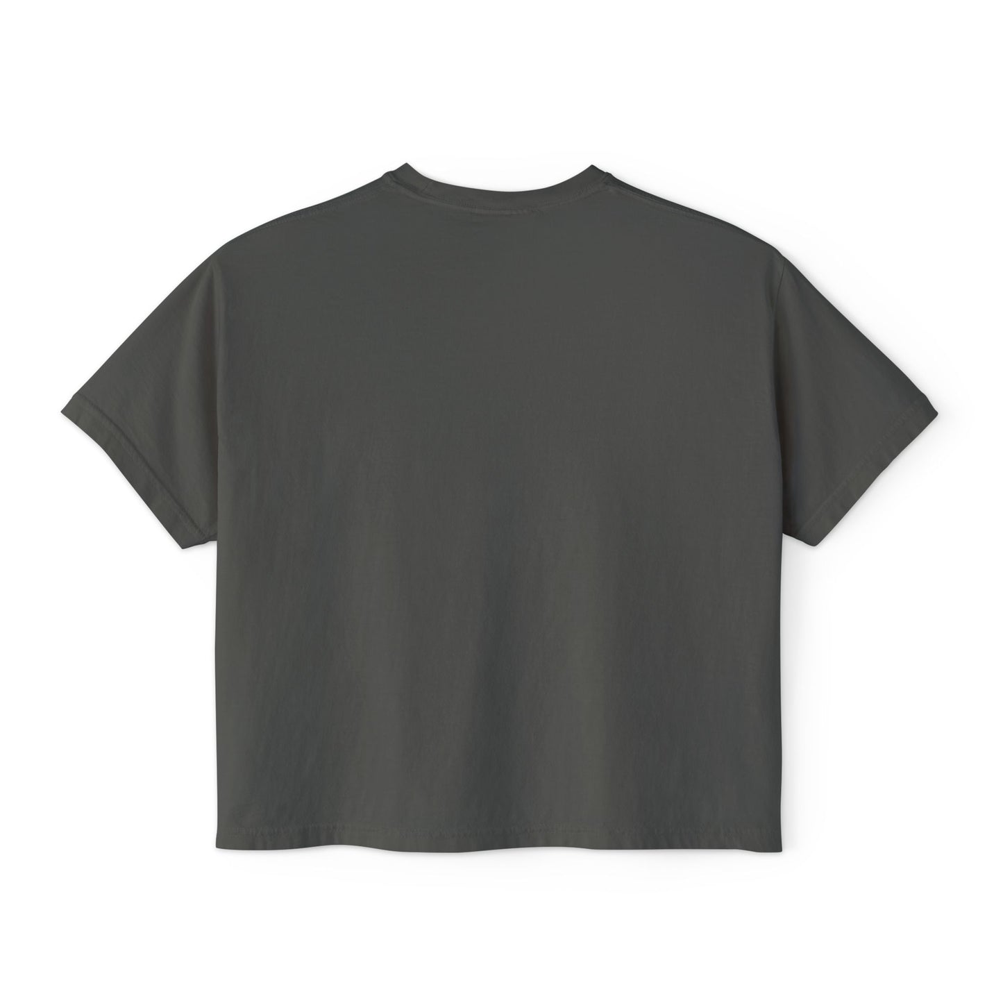 "That's a Horrible Idea... What Time?" T-Shirt (Women's)