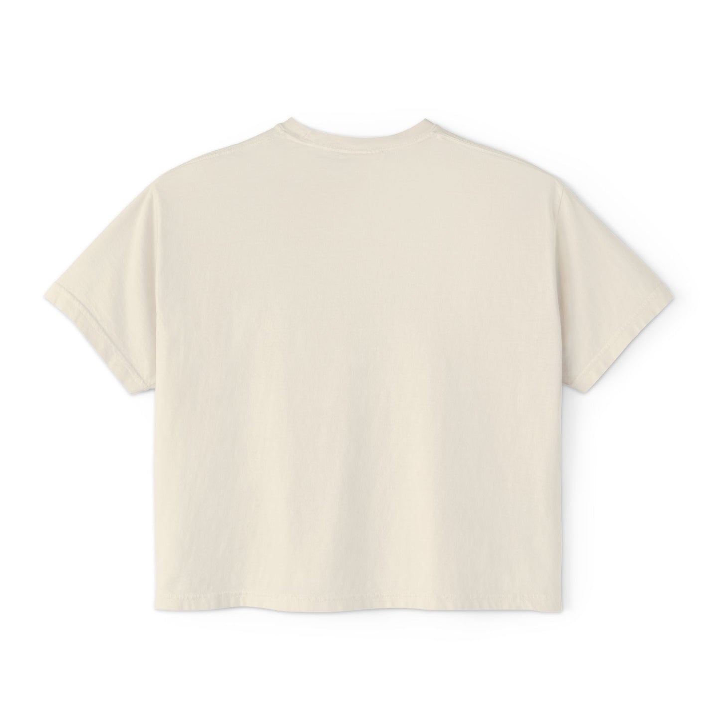 "That's a Horrible Idea... What Time?" T-Shirt (Women's)