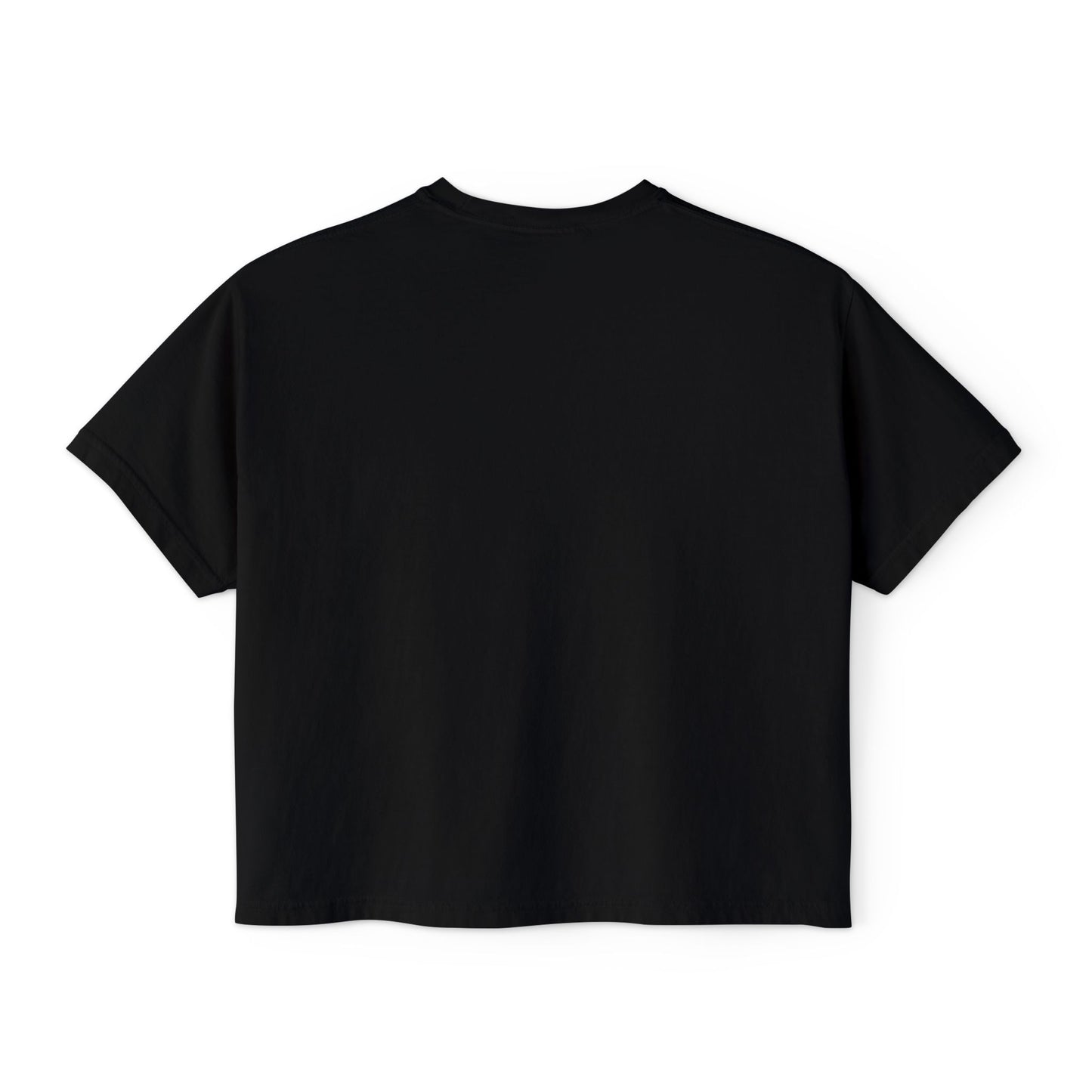 "That's a Horrible Idea... What Time?" T-Shirt (Women's)