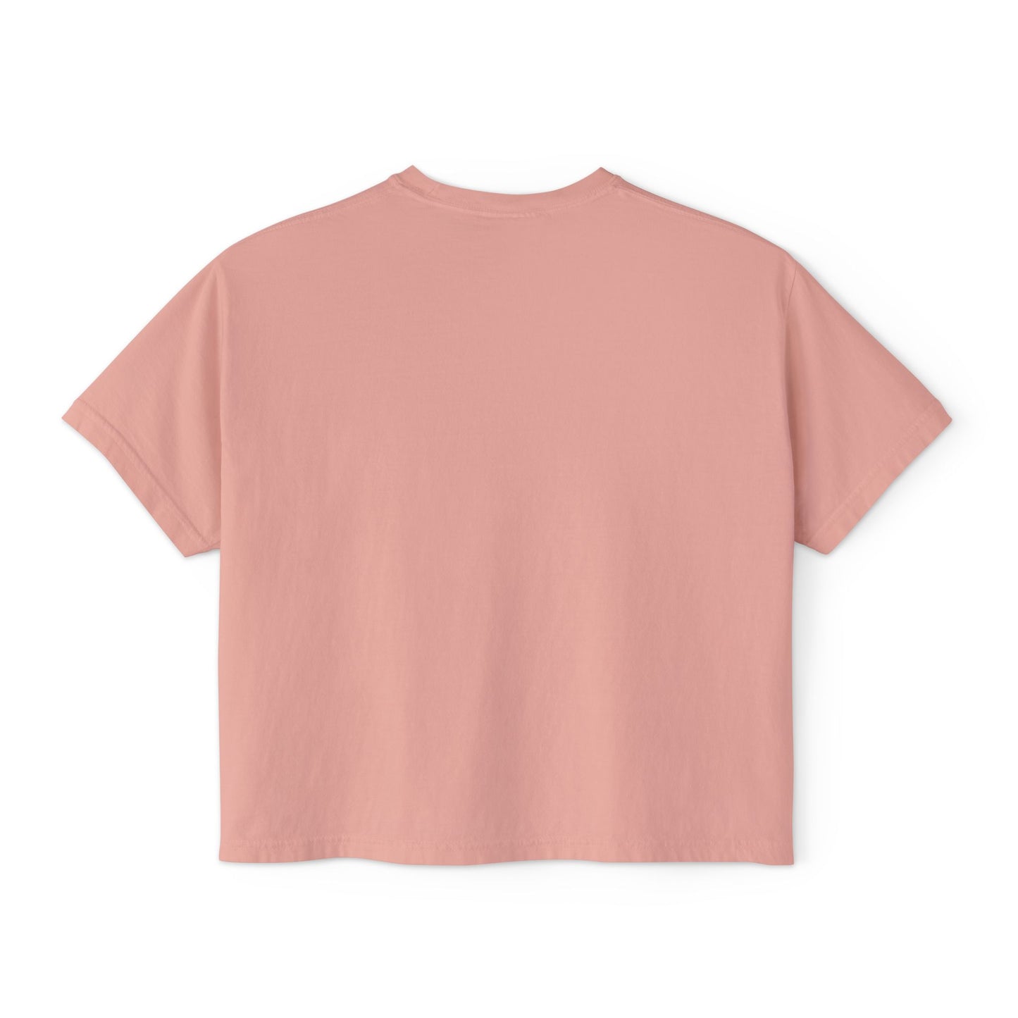 "That's a Horrible Idea... What Time?" T-Shirt (Women's)