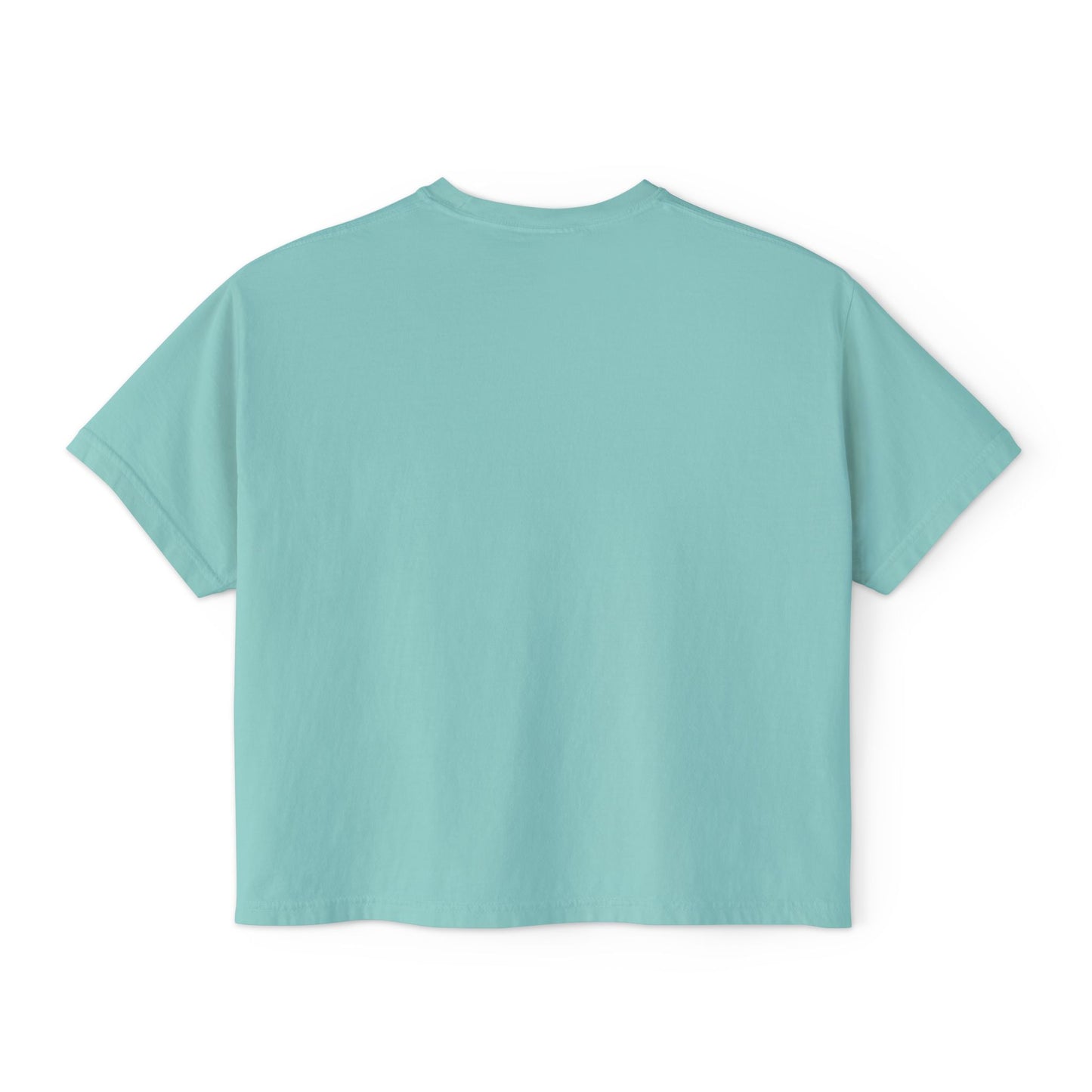 "That's a Horrible Idea... What Time?" T-Shirt (Women's)